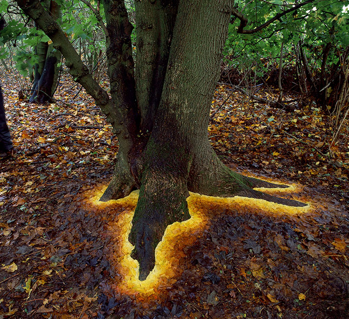 Mágico arte terrestre, por Andy Goldsworthy