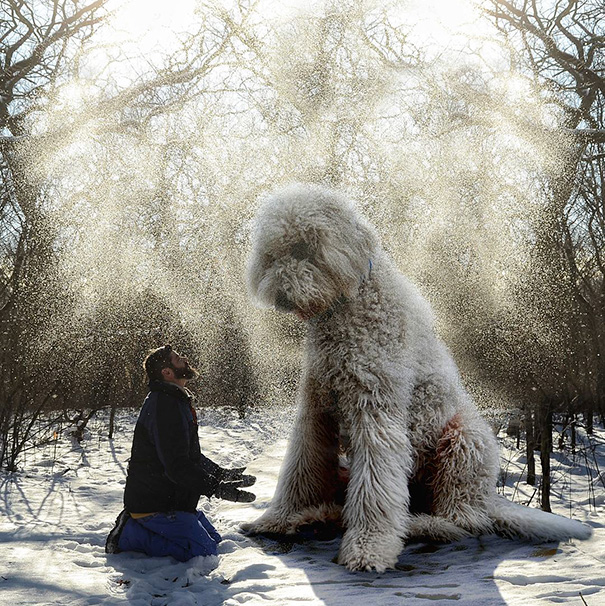 aventuras-juji-perro-gigante-photoshop-christopher-cline (1)