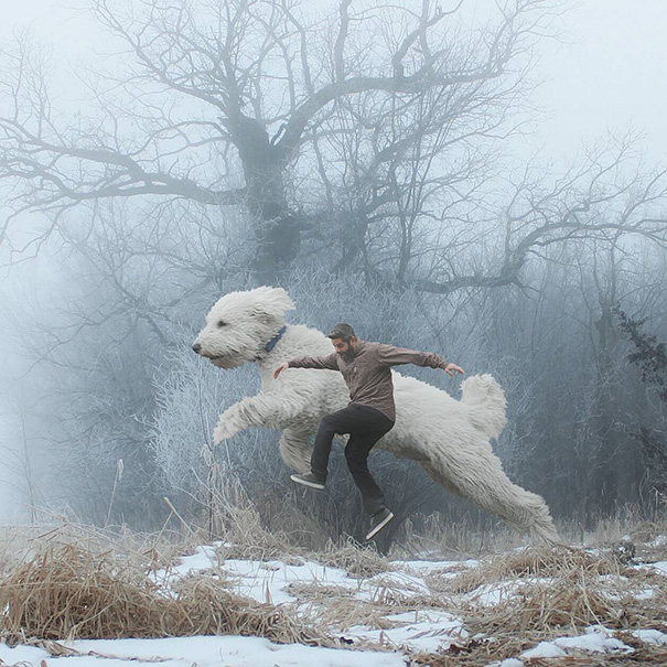 aventuras-juji-perro-gigante-photoshop-christopher-cline (10)