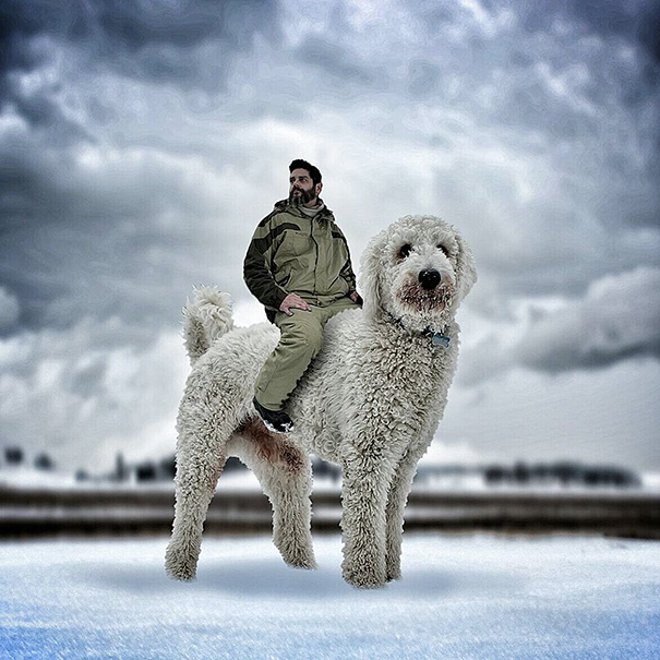 aventuras-juji-perro-gigante-photoshop-christopher-cline (2)