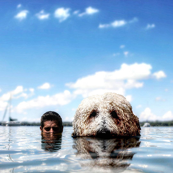 aventuras-juji-perro-gigante-photoshop-christopher-cline (3)