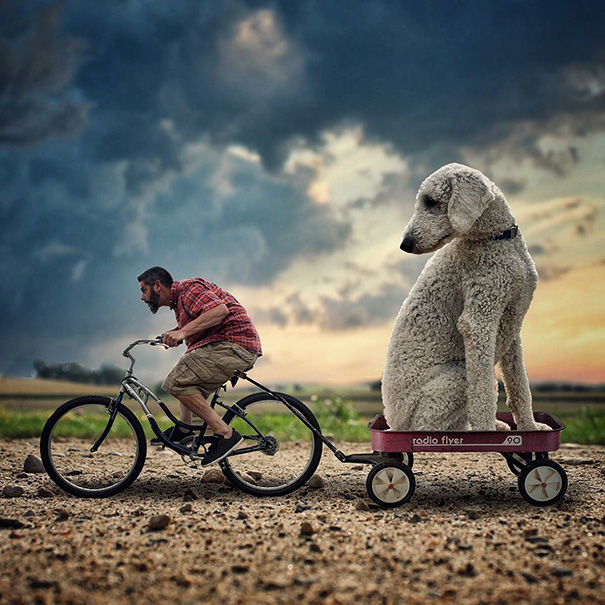 aventuras-juji-perro-gigante-photoshop-christopher-cline (5)