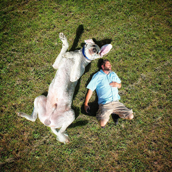aventuras-juji-perro-gigante-photoshop-christopher-cline (6)