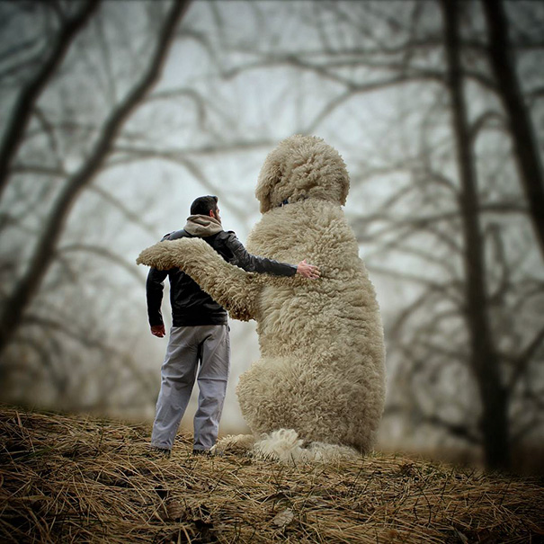 aventuras-juji-perro-gigante-photoshop-christopher-cline (8)
