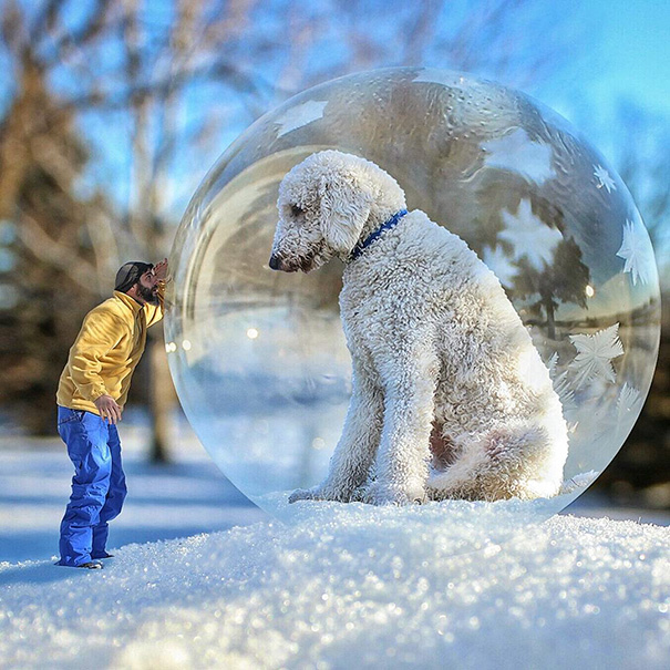 aventuras-juji-perro-gigante-photoshop-christopher-cline (9)