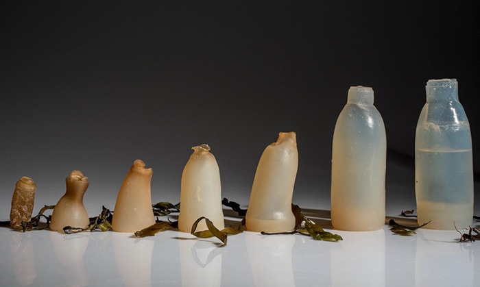botella-agua-algal-biodegradable-ari-jonsson (1)
