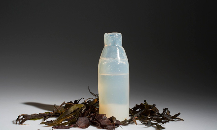 botella-agua-algal-biodegradable-ari-jonsson (6)