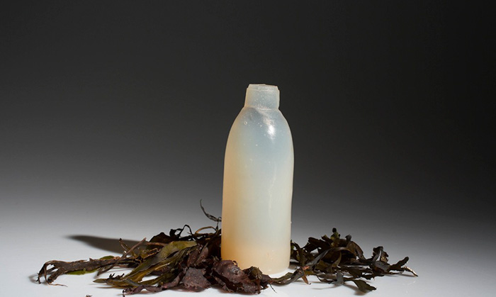 botella-agua-algal-biodegradable-ari-jonsson (8)