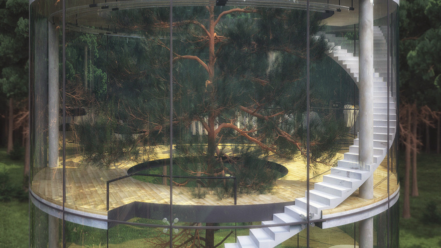 casa-cristal-tubular-arbol-aibek-almassov (2)
