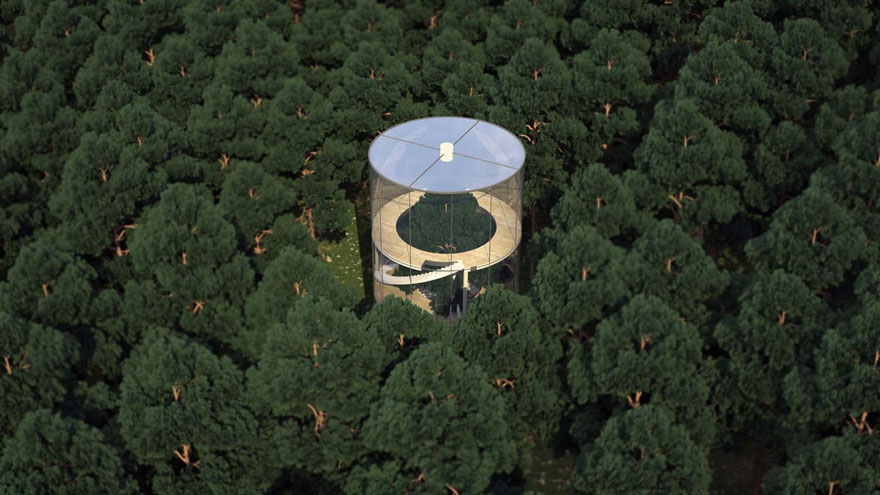 casa-cristal-tubular-arbol-aibek-almassov (4)