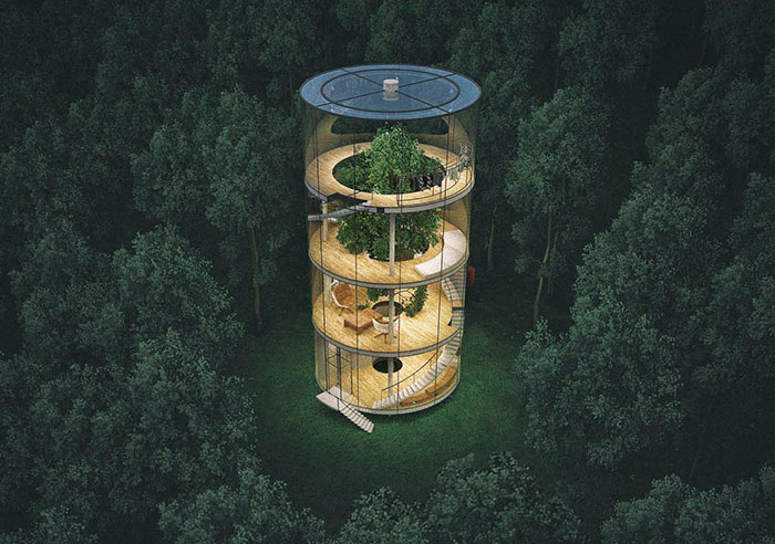 Increíble casa tubular de cristal construida alrededor de un árbol