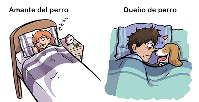 7 Diferencias entre amantes de los perros y dueños de perros