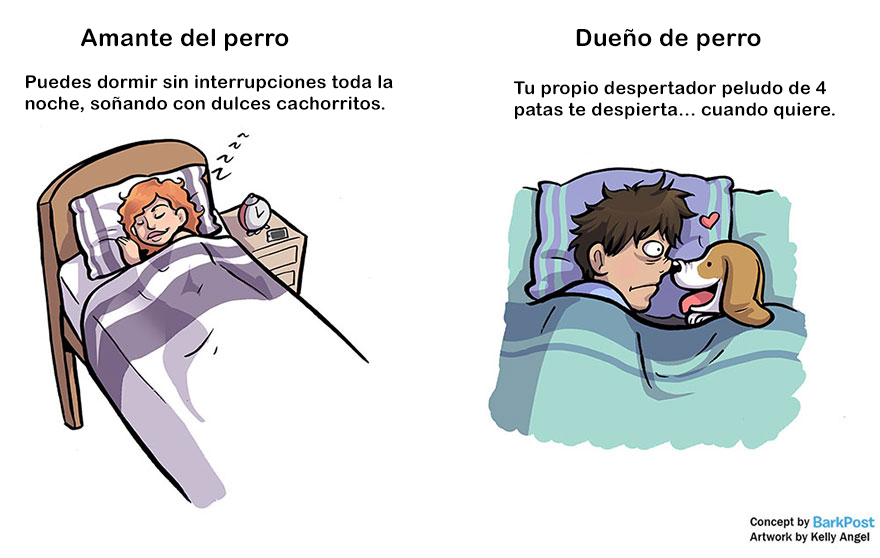 diferencias-duenos-amantes-perros-kelly-angel-2
