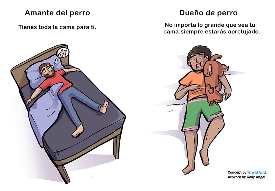 diferencias-duenos-amantes-perros-kelly-angel-3