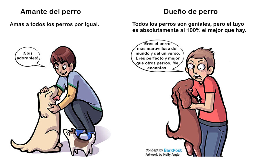 diferencias-duenos-amantes-perros-kelly-angel-4