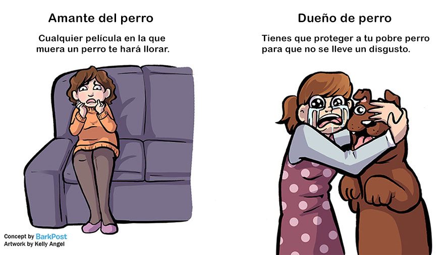 diferencias-duenos-amantes-perros-kelly-angel-6
