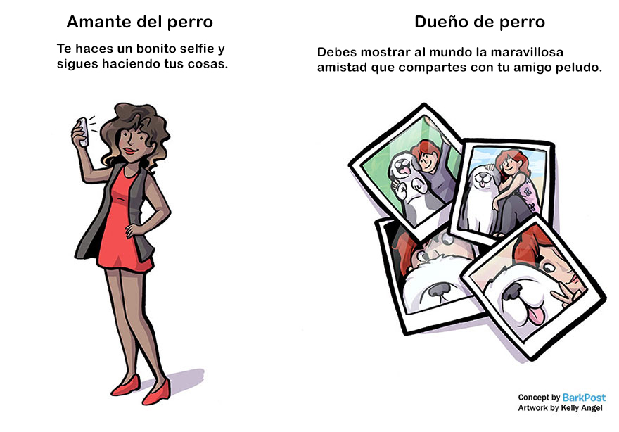 diferencias-duenos-amantes-perros-kelly-angel-7