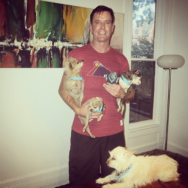 familia-perros-ancianos-adoptados-steve-greig (1)