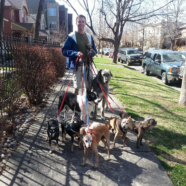 familia-perros-ancianos-adoptados-steve-greig (4)