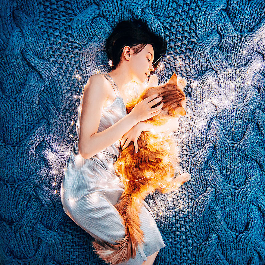 fotos-gato-kotleta-kristina-makeeva-hobopeeba (4)