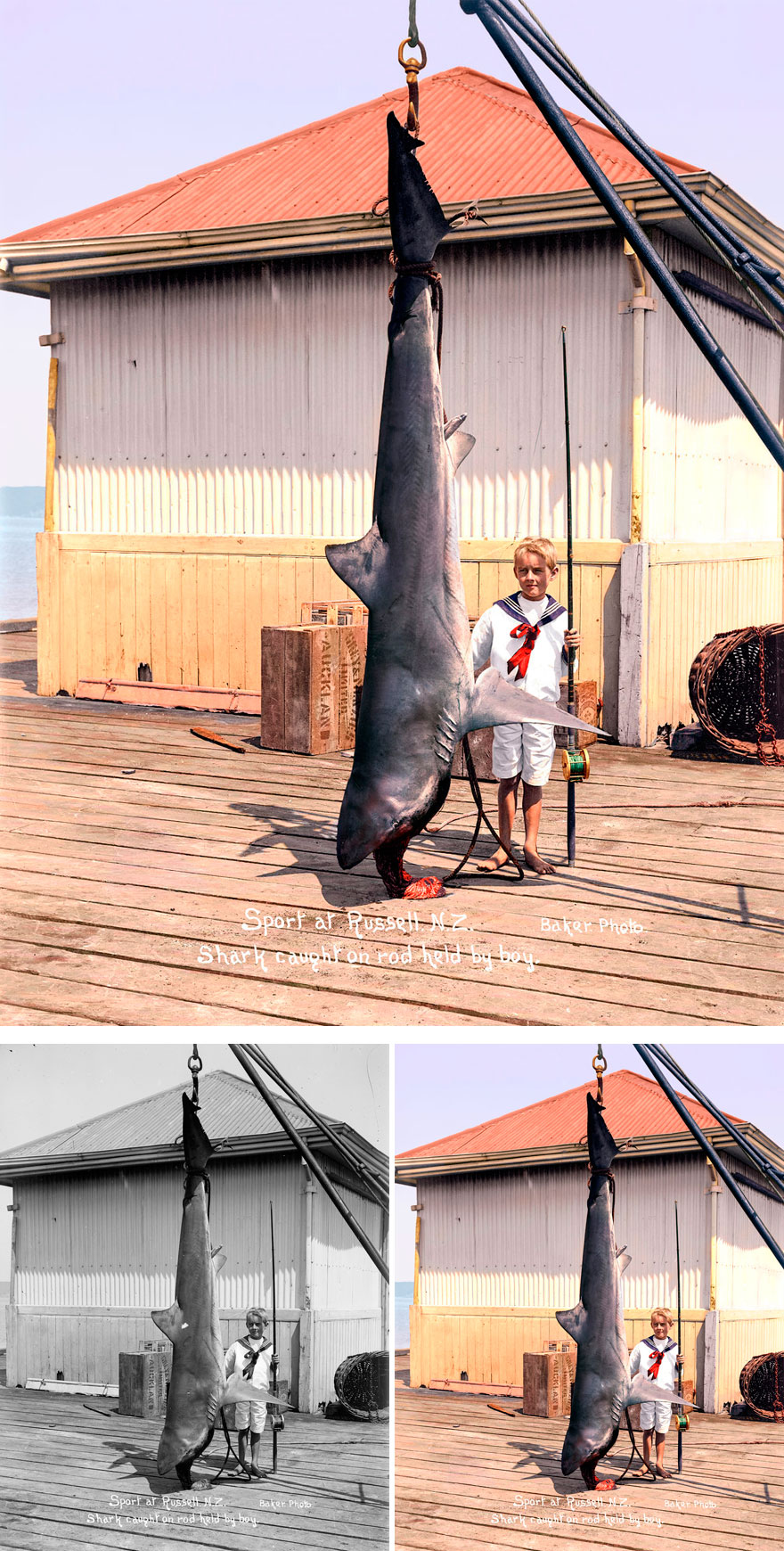 fotos-historicas-coloreadas-marina-amaral (9)