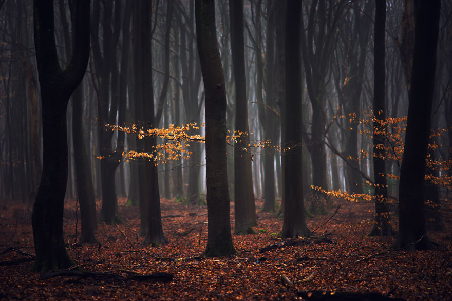 fotos-paisajes-holanda-albert-dros (10)