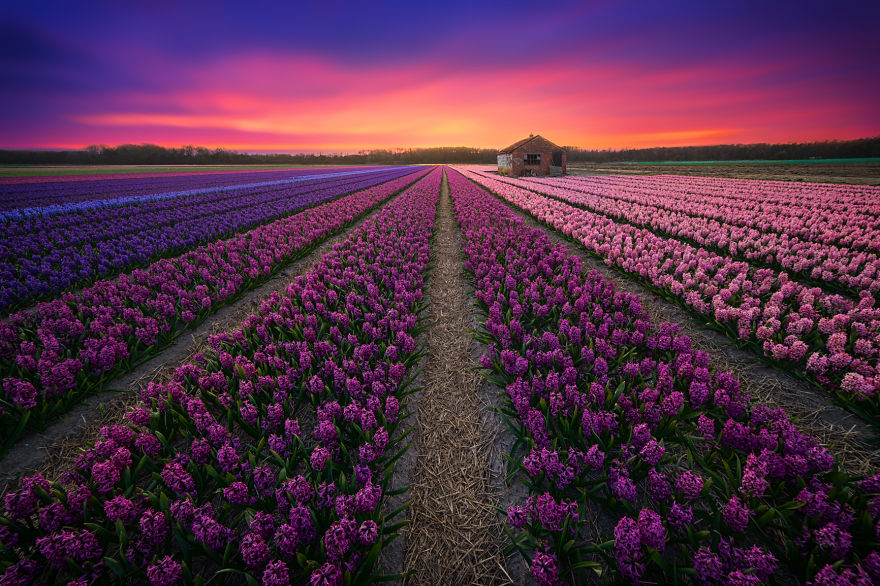 fotos-paisajes-holanda-albert-dros (12)