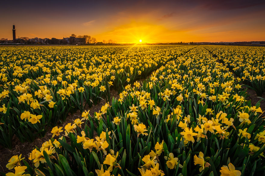 fotos-paisajes-holanda-albert-dros (13)