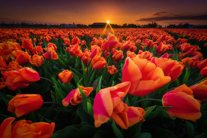 fotos-paisajes-holanda-albert-dros (14)