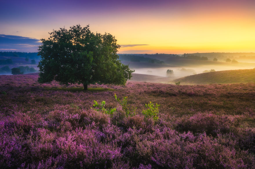 fotos-paisajes-holanda-albert-dros (19)
