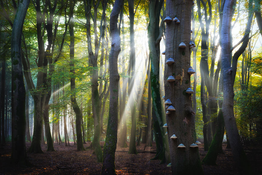 fotos-paisajes-holanda-albert-dros (9)