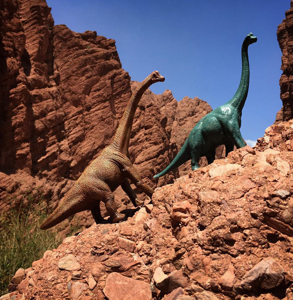 fotos-viajes-dinosaurios-dinodinaseries-jorge-saenz (16)