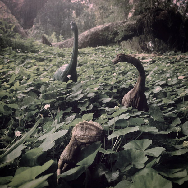 fotos-viajes-dinosaurios-dinodinaseries-jorge-saenz (2)