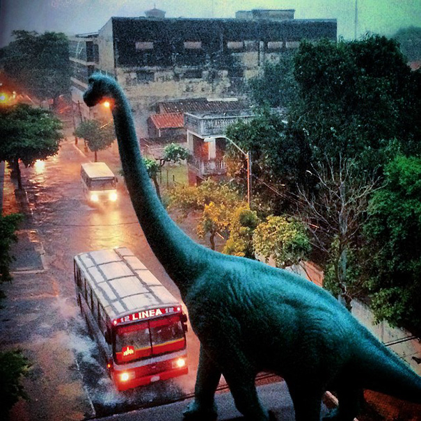 fotos-viajes-dinosaurios-dinodinaseries-jorge-saenz (6)
