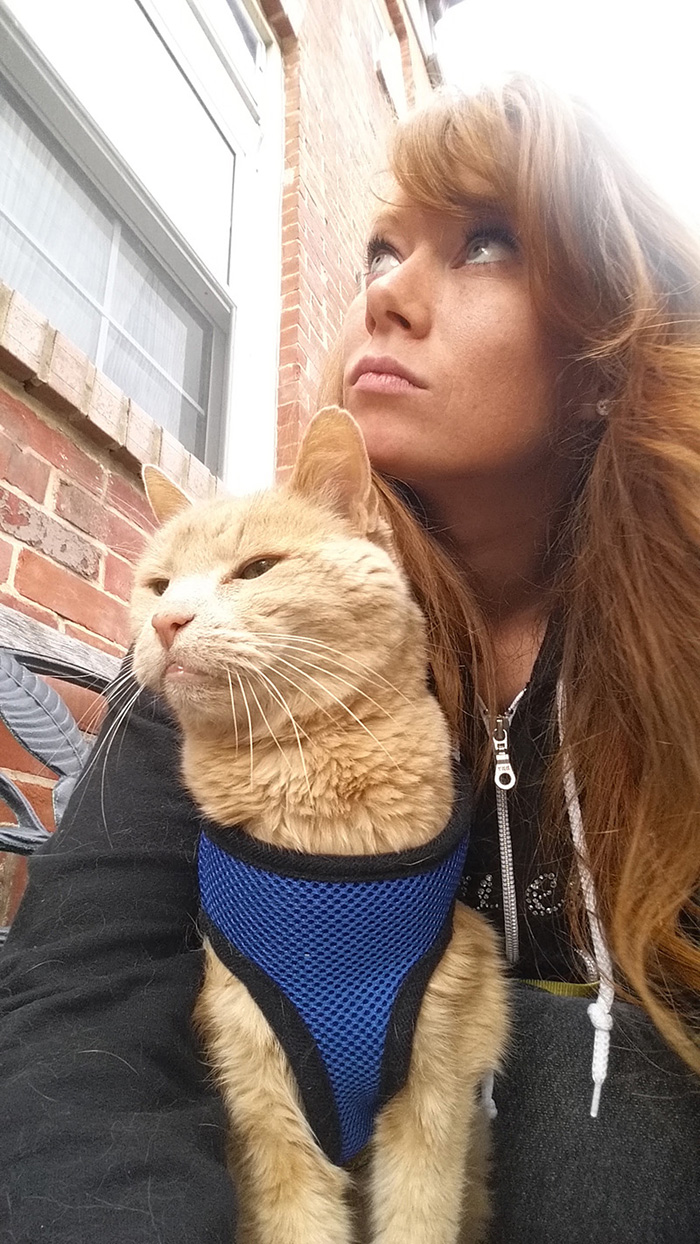gato-21-anos-enfermo-terminal-rescatado-adriene-nicole (11)