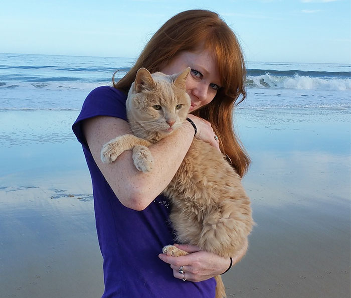 Esta mujer rescató a un gato de 21 años abandonado por su dueño para darle sus mejores últimos días