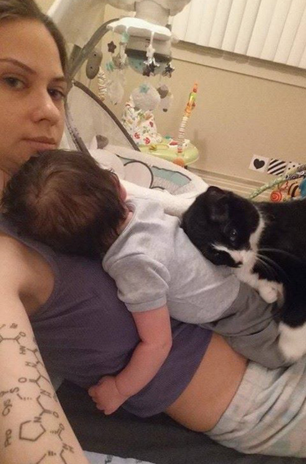 gato-panda-guardian-bebe-sean-assayag (1)