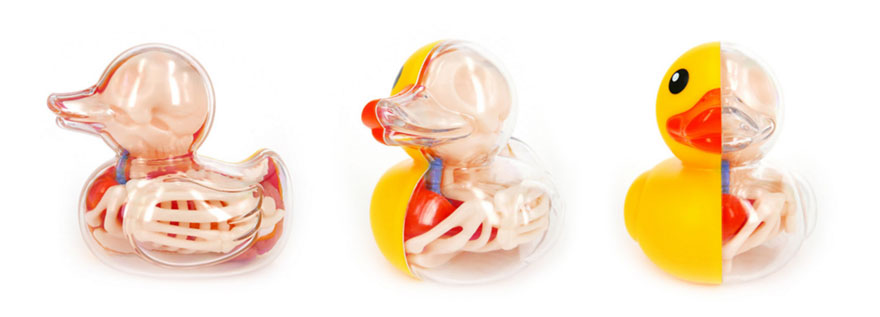 globos-anatomia-animales-jason-freeny (1)