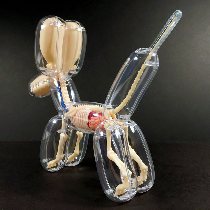 globos-anatomia-animales-jason-freeny (2)