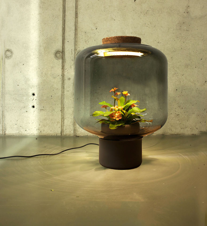 lampara-planta-interior-studio-we-love-eames (2)