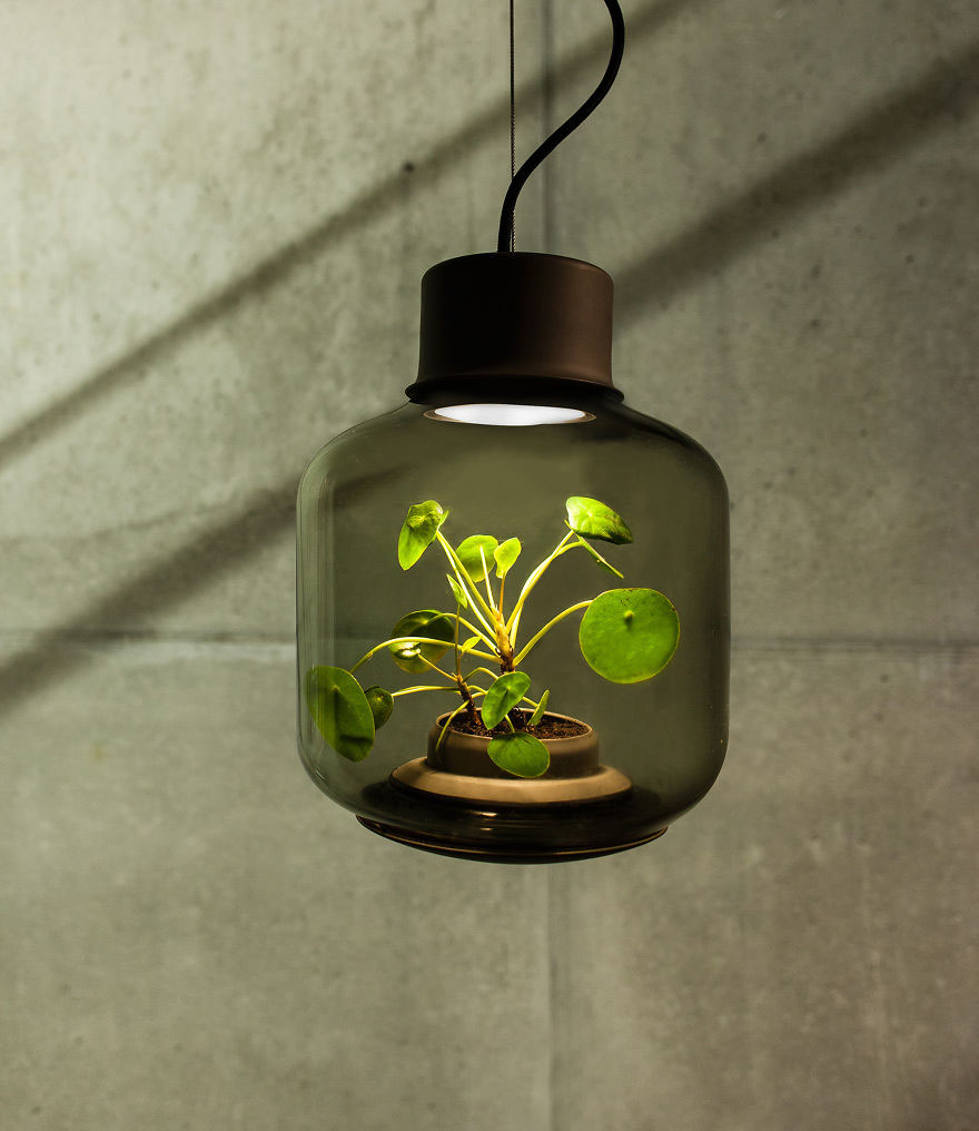 lampara-planta-interior-studio-we-love-eames (4)