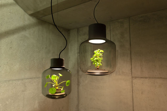 Hemos diseñado estas lámparas para cultivar plantas en espacios sin ventanas
