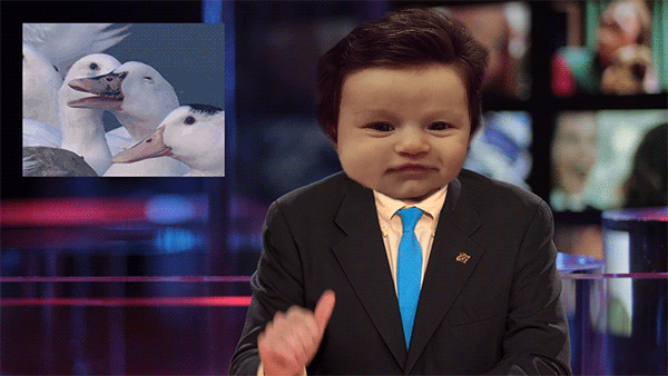 memes-bebe-cabellera-isabelle-kaplan (1)