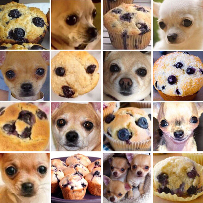 parecidos-razonables-perros-karen-zack (3)