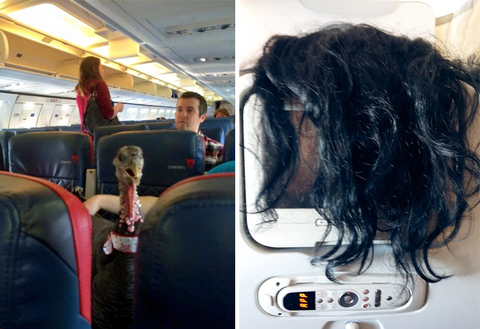 20 Pasajeros de avión muy molestos y maleducados