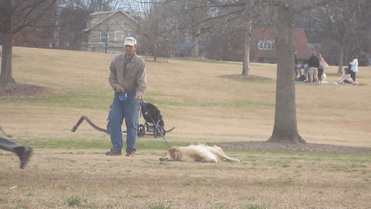 perro-haciendose-muerto-parque-piedmont-atlanta (1)