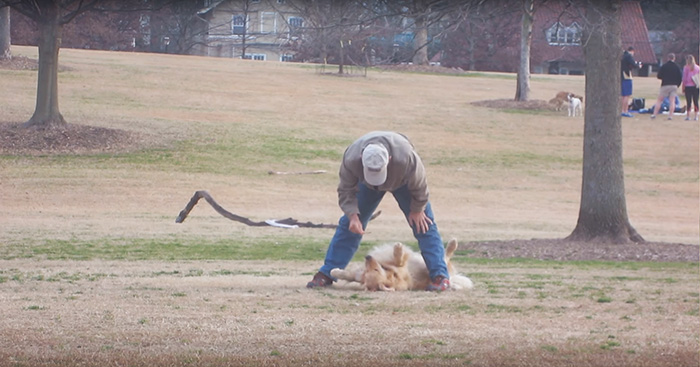 perro-haciendose-muerto-parque-piedmont-atlanta (1)