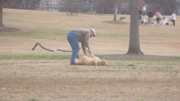 perro-haciendose-muerto-parque-piedmont-atlanta (2)