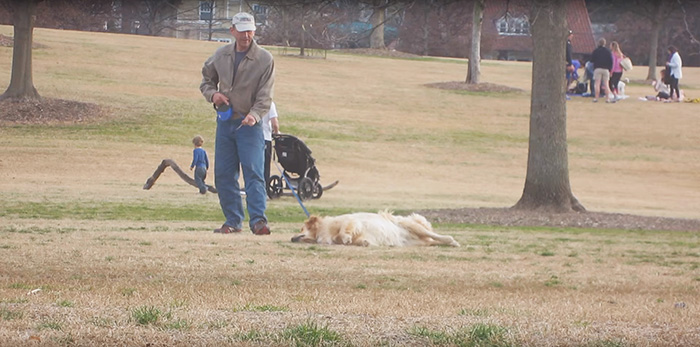 perro-haciendose-muerto-parque-piedmont-atlanta (2)