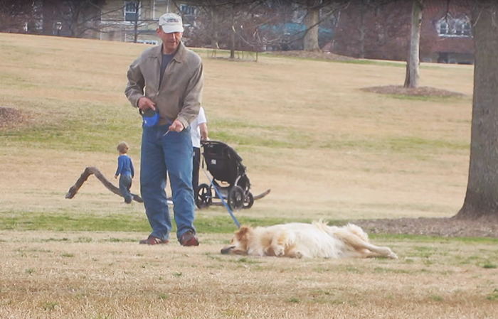Este ingenioso perro se hace el muerto para quedarse más tiempo en el parque